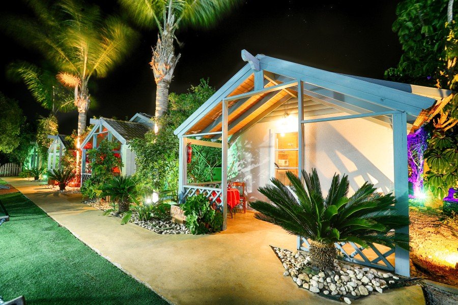 זית חלב ודבש