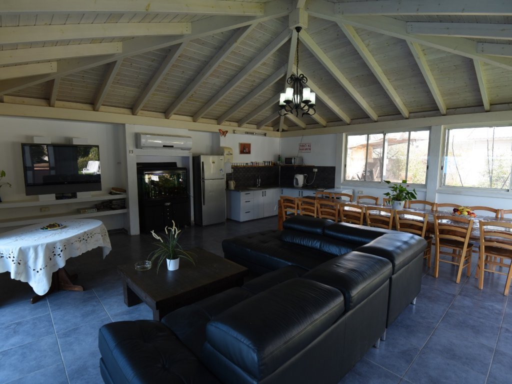 הסלון והמטבח הסלון והמטבח