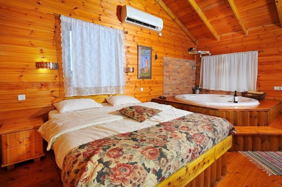 התאנה התאנה