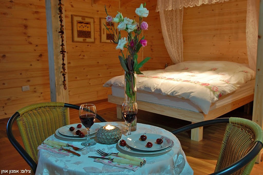 פיקוס פיקוס