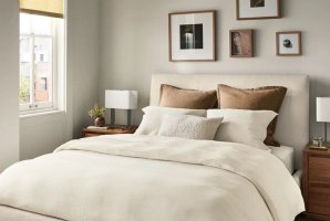 אירוח גיואנה באילת