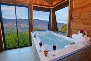 זית חלב ודבש